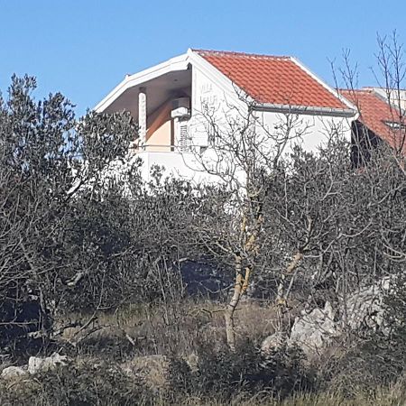 Villa Palfi 耶泽拉 外观 照片