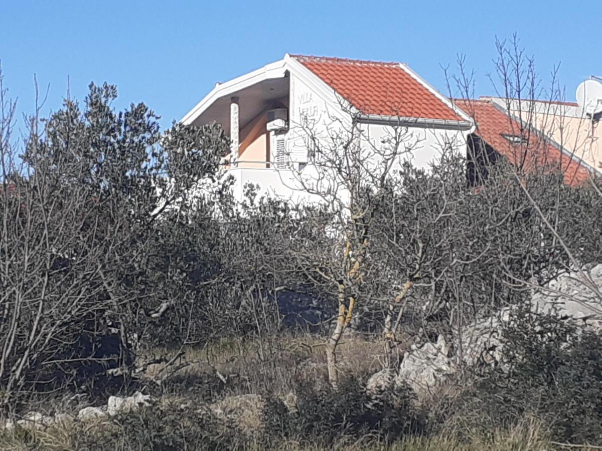 Villa Palfi 耶泽拉 外观 照片