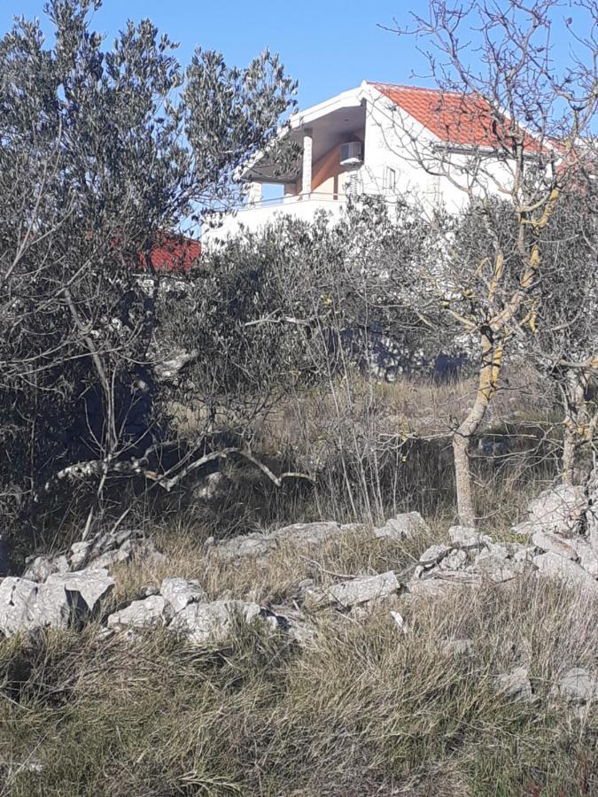 Villa Palfi 耶泽拉 外观 照片